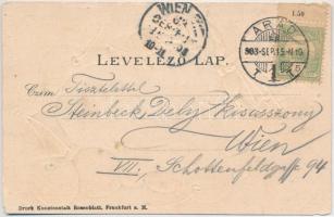 1903 Arad, Andrássy tér. Kerpel Izsó kiadása. Szecessziós dombornyomott litho / square. Druck Kunsta...