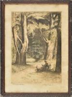 Komjáti-Wanyerka Gyula (1894-1958): Rőzseszedő. Színezett rézkarc, papír, jelzett. Üvegezett, kissé sérült fakeretben, 37×26 cm