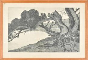 Nyári Lóránt (1928-1982): Horányi sziget. Rézkarc, papír, jelzett, üvegezett fakeretben, 33×50 cm