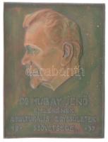 Krupinszky László (1888-1945) 1937. Dr. Hubay Jenő terrakotta plakett. Jelzett. (98x74mm) T:1-