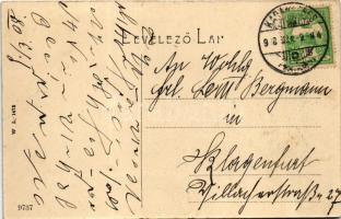 1908 Karánsebes, Caransebes; Fő utca, Jakob Zweig, Halász, Mehler Róza, Révész üzlete. W.L. 1475. / ...