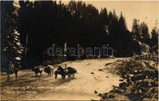 Gázló Kalne mellett. Hofmann cs. és kir. altábornagy hadtestje. Hadifénykép Kiállítás / WWI Austro-Hungarian K.u.K. military, crossing the river near Kalne (Ukraine)