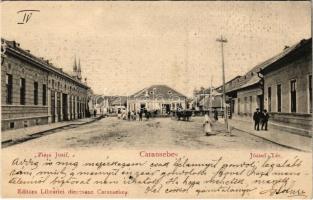 1909 Karánsebes, Caransebes; Piata Josif / József tér, Özv. Halle Mórné üzlete, Magyar királyi dohány nagytőzsde / square, shops (fl)