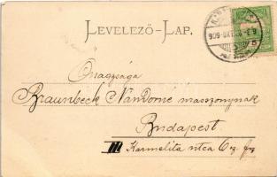 1909 Karánsebes, Caransebes; Piata Josif / József tér, Özv. Halle Mórné üzlete, Magyar királyi dohán...