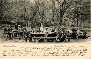 1901 Karánsebes, Caransebes; Teusi idill / Teuser-Idyll / park (vágott / cut)