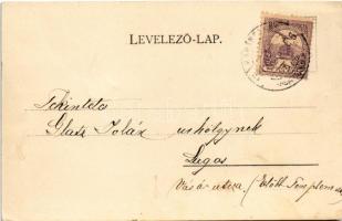 1901 Karánsebes, Caransebes; Teusi idill / Teuser-Idyll / park (vágott / cut)