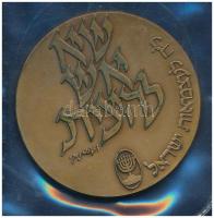 Izrael 1989. "Izrael 40. évfordulója" kétoldalas br emlékérem (60mm) T:1- / Israel 1989. &...