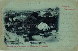 1900 Karánsebes, Caransebes; látkép / general view (EK)