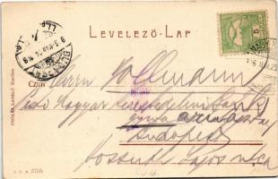 1906 Nagykároly, Carei; Széchenyi utca, Római katolikus nemzeti népiskola, Spitz Mór üzlete. Csókás ...