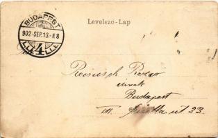 1902 Nagykároly, Carei; Nagy piac, új sor. Csókás László kiadása / market square (Rb)