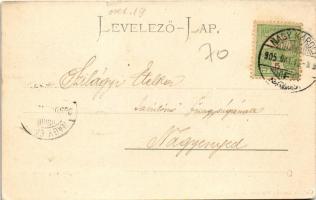 1905 Nagykároly, Carei; Széchenyi utca, Polgári leányiskola. Csókás László kiadása / street view, gi...