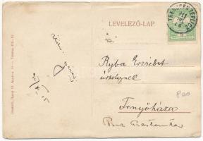 1911 Trencsénteplic-fürdő, Kúpele Trencianske Teplice; Elefánthy Irén elemi osztályos tanítónő / tea...