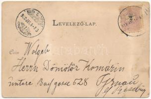 1900 Budapest VI. M. Kir. Operaház. Díszes szecessziós litho (EB)