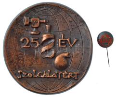 Madarassy Walter (1909-1994) DN Földmérő és Talajvizsgáló Vállalat / 25 év szolgálatért öntött bronz kétoldalas emlékplakett, (~100mm) T:1- + zománcozott jelvény. d: 17 mm