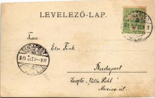 1903 Brassó, Kronstadt, Brasov; vom Schnekenberg / látkép a Csigahegyről / view from Dealul Melcilor...