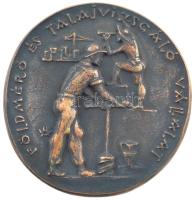 Madarassy Walter (1909-1994) DN Földmérő és Talajvizsgáló Vállalat / 25 év szolgálatért öntött bronz kétoldalas emlékplakett, (~100mm) T:1-