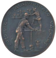 Madarassy Walter (1909-1994) DN Földmérő és Talajvizsgáló Vállalat / 25 év szolgálatért öntött bronz kétoldalas emlékplakett, (~100mm) T:1-