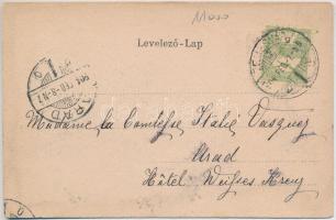 1904 Temesvár, Timisoara; Domtér, Szentháromság szobor, üzletek. Szecessziós címeres litho keret / C...