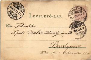 1899 (Vorläufer) Temesvár, Timisoara; Kloster Josefstadt, Cadetten Schule, Realschule, Comitatshaus,...