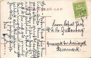 1914 Kolozsvár, Cluj; Sétatér. W.L. Bp. 6368. 1910. / park (fl)