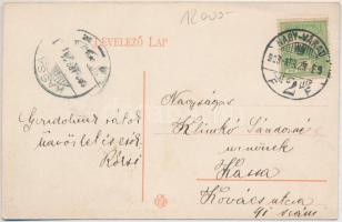 1908 Nagyvárad, Oradea; Mezőgazdasági kiállítás, Biharmegyei Gazdasági Egylet Otthona / agricultural...