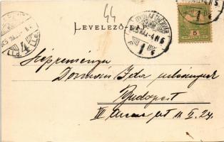 1905 Verespatak, Goldbach, Rosia Montana; Aranybányák a Nagykirnik, Kiskirnik és Csetátye-hegyben / ...