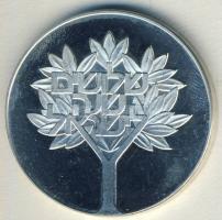 Izrael 1978. 25L Ag "30. Függetlenségi évforduló" T:BU
