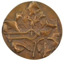 Kiss Sándor (1925-1999) ~1970-1980. Állami Gazdaságok Szőlészeti és Borászati Szakbizottsága kétoldalas bronz emlékplakett (105x110mm) T:1-