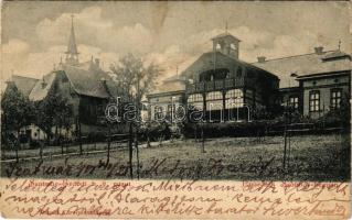 1901 Szatmárhegy, Viile Satu Mare; Szatmár-Erdődi helyiérdekű vasút, nyaralók a Szatmár-hegyen. Divald Károly kiadása / villas (EB)