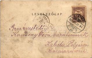 1901 Szatmárhegy, Viile Satu Mare; Szatmár-Erdődi helyiérdekű vasút, nyaralók a Szatmár-hegyen. Diva...