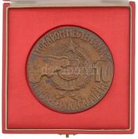 DN Komárom Megyei Tanács - A 10 éves hűséges szolgálatáért egyoldalas bronz emlékérem tokban (80mm) T:2 patina