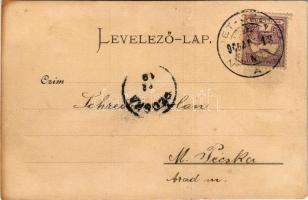 1900 Zsombolya, Hatzfeld, Jimbolia; Remete lak, Községi bérház, Fő utca, üzletek. Manzin és Ferch ki...