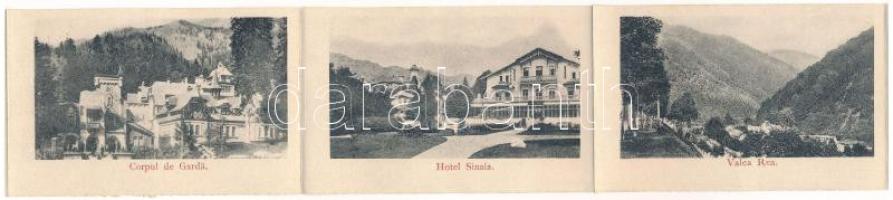 1907 Sinaia, Castelul Peles / castle - Leporello can be pulled out with 12 small images
