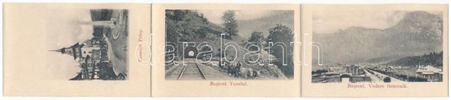 1907 Sinaia, Castelul Peles / castle - Leporello can be pulled out with 12 small images