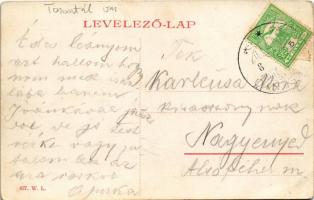 Zsombolya, Hatzfeld, Jimbolia; Muschong palota, Ifj. Keks kárpitos üzlete. W.L. 427. / palace, shops...