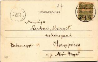 1904 Kolozsvár, Cluj; Mátyás király tér és szobor, Státus paloták / square, monument, statue, palace...