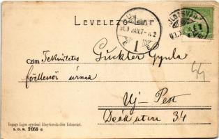 1909 Kolozsvár, Cluj; Karolina országos kórház, ideg- és elmegyógyászat. Lepage Lajos kiadása / hosp...