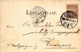 1900 Kolozsvár, Cluj; Fellegvár a Kis-Szamos mellett. Gibbon Albert kiadása / Cetatuia, Somesul Mic ...