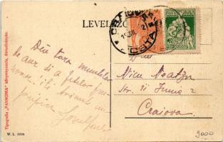 Abrudbánya, Abrud; Városháza. W.L. 3209. / town hall