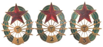 ~1970-1980. Magyar Néphadsereg Távírász zománcozott bronz jelvény 1., 2. és 3. fokozat T:2