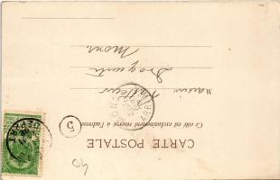 1902 Budapest XI. Saxlehner András Hunyadi János keserűvíz üzeme, reklám / Andreas Saxlehner Etablis...