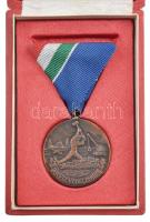 ~1970. Árvízvédelemért bronz kitüntetés mellszalagon, eredeti tokban (35mm) T:1 NMK 663