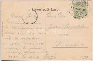 1906 Buziásfürdő, Baile Buzias; Szt. Antal tó és korzó. Montázs hattyúkkal és csónakázókkal. Francz ...