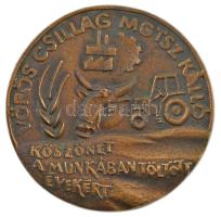DN Vörös Csillag MGTSZ Kálló - Köszönet a munkában töltött évekért egyoldalas bronz emlékérem (92mm) T:1- kis patina