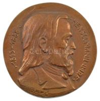 Solymári Valkó László (1909-1984) Henszlmann Imre 1813-1888 egyoldalas bronz emlékérem (92mm) T:1- kis patina, karc