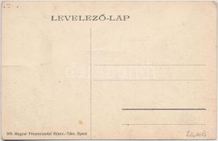 Körösgégény, Gégény, Gheghie; Gróf Zichy-kastély / castle (ázott sarkak / wet corners)