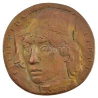 Nagy István János (1938-) DN Filippino Lippi egyoldalas bronz plakett (~112mm) T:1- patina