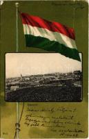 1905 Kaposvár, látkép. Gerő Zsigmond kiadása. Szecessziós magyar zászlós litho keret / Art Nouveau litho frame with Hungarian flag (EK)