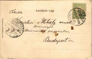 1905 Kaposvár, látkép. Gerő Zsigmond kiadása. Szecessziós magyar zászlós litho keret / Art Nouveau l...