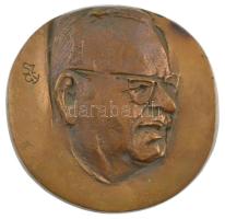 Szathmáry Gyöngyi (1940-) DN Julesz Miklós 1904-1972 kétoldalas öntött bronz plakett (~113mm) T:1- patina